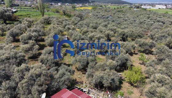 KEMALPAŞA AŞAĞIKIZILCA'DA 3.275 m² ARSA