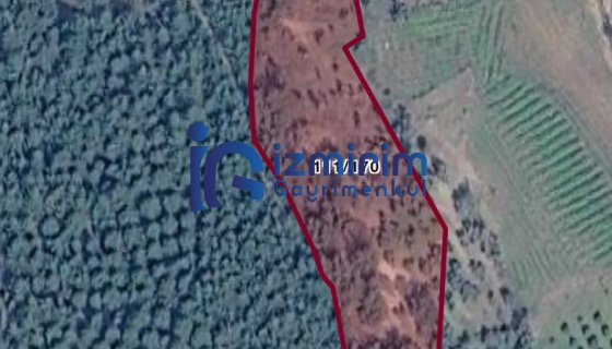 KEMALPAŞA AŞAĞIKIZILCA'DA SATILIK BAĞ